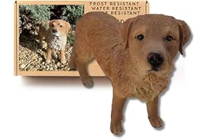 G&H Decor Statua da giardino Golden Retriever da 27 cm, in resina, rifinita a mano, con dettagli intricati, statuetta da patio adatta per interni ed esterni, scultura decorativa per cuccioli