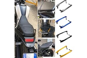 TAZGANTAX Maniglione Posteriore per Passeggero CNC Maniglia del sedile Manico a mano Maniglione Compatibile con MT 09 FZ 09 MT09 FZ09 Parti 2013 2014 2015 2016 2017 2018 2019 2020 (Nero)