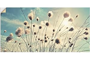 ARTland Wandbild selbstklebende Vinylfolie 40x20 cm Wanddeko Wandtattoo Natur Landschaft Sonne Botanik Gräser Wollgras T2GI