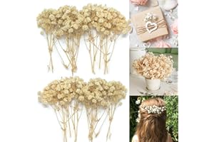 APICORT Schleierkraut Getrocknet 15cm Trockenblumen Zum Basteln - 20 Stück Getrocknete Blumen, Baby’s Breath Trockenblumen Deko Echte Natur, für DIY, Hochzeitsdeko, Haarschmuck, Wohnkultur