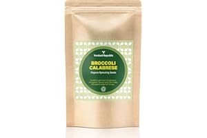 Verdant Republic Organic Broccoli Calabrese Sprouting Seeds 500g | Non-GMO, Rich in Nutrients | Easy to Sprout in 5 Days| High Germination into Microgreens in 10 Days