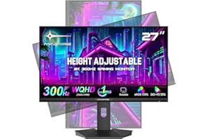 Minifire 27 Inch Gaming Monitor 300Hz, QHD 2560x1440p PC Monitor, Vertical/Horizontal Rotation, 1ms, DCI-P3 90%, sRGB130%, Adaptive sync, DP1.4＆HDMI 2.1, Tilt Adjustable - MFG27F6Q Pro