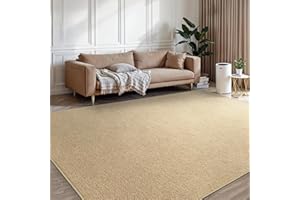 BEIMO Tapis de Salon Lavable Tapis Chambre Moderne à Poils Courts et Moelleux, Grand Doux Tapis de Sol Dessous Antidérapant, Beige, 120x160cm