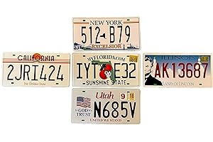 Lotto di 5 targhe per auto statunitensi. USA Repliche di targhe americane - DiiliHiiri Decorazione per bar - Caffetteria - Grotta di uomo - Garage o officina —15x30cm—(2651-5-21-29-31-32)