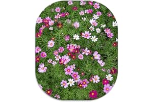 LF LOIAAFEL Mouse Mat, Non-Slip Small Mouse Pad, Mini Mousepads Cute, Rubber Mouse Pads Flowers Portable for Travel Working Home Desk Organiser