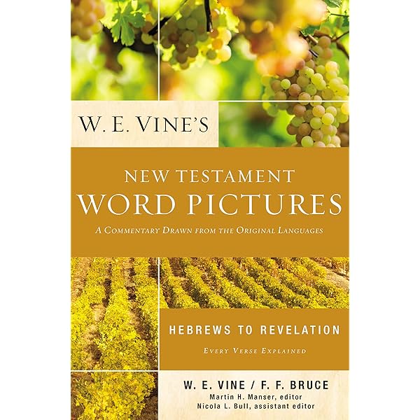 Amazon.in: Buy Word Pictures in the New Testament Book