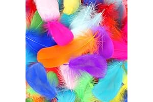 Mbsomnus 600 Stück Federn zum Basteln Bunte Federn Natürliche Feder Deko Bastelfedern für DIY Handwerk Traumfänger Ohrringen Kopfschmuck Federblumen Hochzeit Weihnachten Party Dekoration