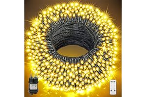 GYLEFY 100M Luci di Natale Esterno Catena Luminosa 800 LED Stringa Impermeabile Luci Natalizie da Esterno con Telecomando Ghirlanda LED Decorazioni Natalizie per Albero Natale Giardino Bianco Caldo