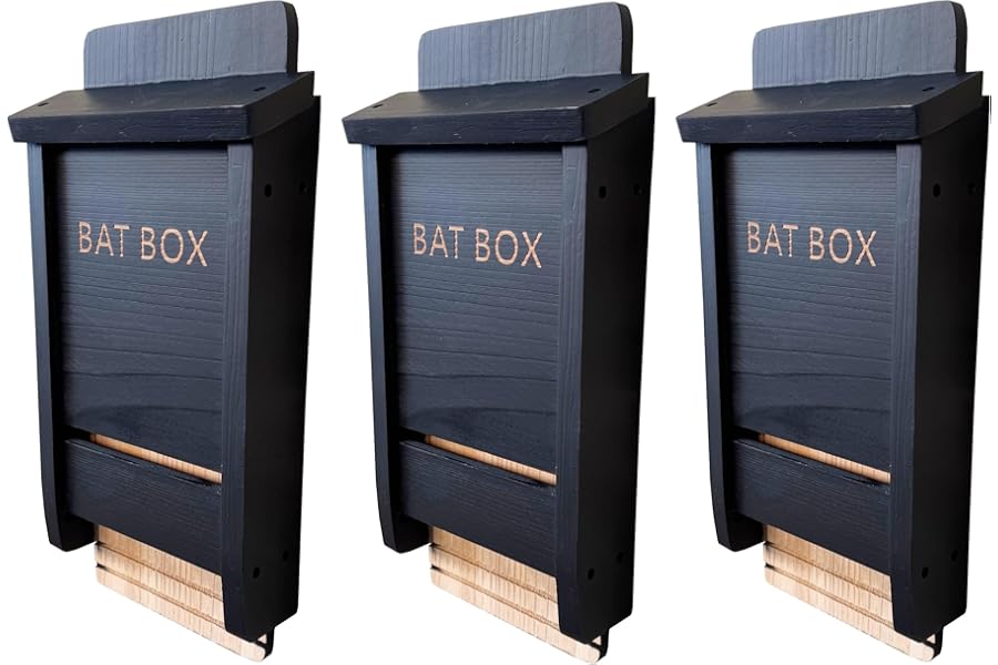 Selections Black Wooden Bat Nesting Roosting Box House with Gooved Interior - Pack of 3
