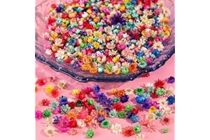 SYOZPXY 600Pcs Colored Dried Flower Crafts Resin, Small and Delicate Dried Flower Candle Making, Dry Embossed DIY with Your Friends, Mini Natural Dried Flowers Beautify Your Nails