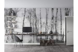 SILK ROAD EU™ Papier Peint Soie Panoramique 3D Bouleau Esquisser, Poster Geant Mural Personnalisé, 350 × 250cm, Thème Forêt et arbres, pour Salon Chambre Chambre restaurant Décoration Murale