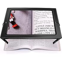 Loupe Portable éclairée 5X/10X Avec 12 LED - Pour Lecture, Bricolage, Neuf
