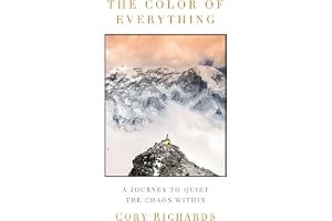 The Color of Everything: A Journey to Quiet the Chaos Within