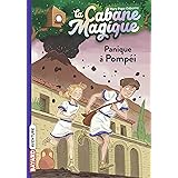 Amazon Fr La Cabane Magique Compilation Des 4 Premiers Tomes Collector Pope Osborne Mary Masson Philippe Delval Marie Helene Livres
