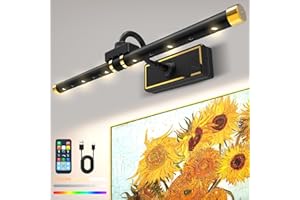 Laliled Kabellose Bilderleuchte mit Fernbedienung,LED Bilderlampe Bildbeleuchtung Wiederaufladbare Dart Beleuchtung Dimmbare Wandleuchte RGB Magnetisch Lampe für Malen,Foto,Dart,Spiegel