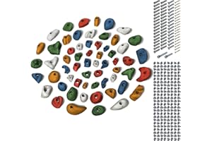 ALPIDEX Kit de démarrage: 60 Prises d'escalade avec vis et 200 écrous à enfoncer, pour Une Surface d'escalade d'environ 4 à 8 m²