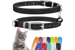 CollarDirect Collier pour Chat en Cuir, Collier de Sécurité avec Sangle Elastique, Collier pour Chaton avec Cloche Noir Bleu Rouge Orange Vert Lime (Noir, 15-18 cm)