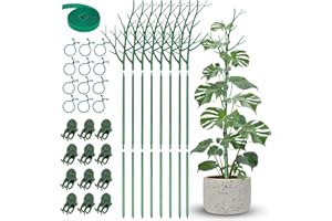 NiHome Umfassende Pflanzenstützpfähle, Set mit 8 Stück, langlebig, UV-beständig, 100,8 cm, Verlängerungsstangen, Orchideen-Clips und Pflanzenbindern