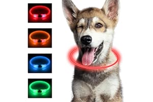 SONNIG LED Light Up Dog Collar USB Rechargeable, Adjustable and Waterproof Luminous Dog Collar with 3 Light Modes, Safe to Small, Medium and Large Dogs for the Dark, Red