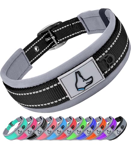 Collare Per Cane Nomadog Trailblazer - Taglia Media, Con Maniglia, Imbottito, Riflettente, Per Avventure Outdoor (fibbia Alluminio)