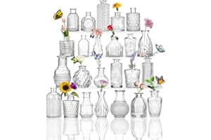 SAWOAKE Set di 24 vasi in vetro per decorazione da tavolo, matrimonio, ricevimento, casa, bottiglie vintage, trasparenti, vasi decorativi in vetro con coperchi (24, trasparente)