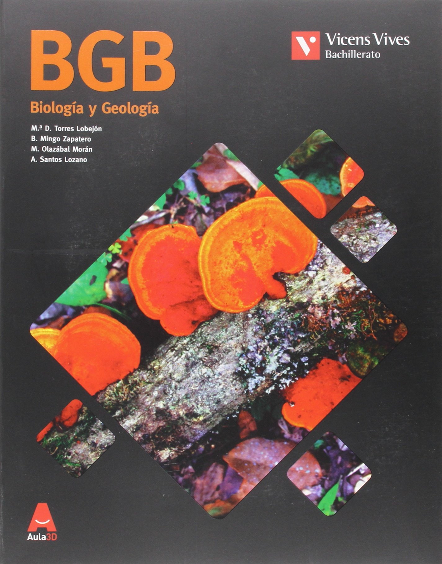 BGB AULA 3D: 000001