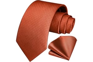 HISDERN Cravatta da Uomo e Fazzoletto Elegante Cravatte Moda da Matrimonio Motivo Pied de poule Business Partito Cravatta Set