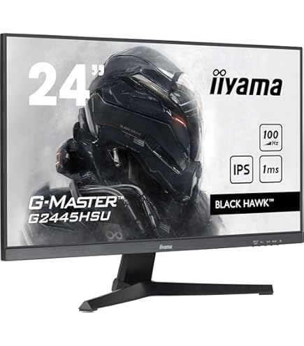 iiyama G-MASTER G2530HSU-2