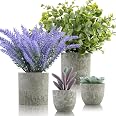 ALAGIRLS Blumentopf-Set 4 Stück – 15 Cm, Mit Drainagelöchern & Untersetzern, Für Drinnen & Draußen