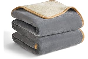 ‎LE SURE LE SURE wasserdichte Hundedecke Grosse Hunde - 100x80cm Outdoor Hundedecke waschbar, Hunde Decke Sofaschutz aus Sherpa Fleece, Katzendecke flauschig und weich, Grau