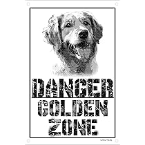 Cartello Metallo 'Attenti Al Cane' Border Collie - 15x20 Cm - Decorazione Da Esterno - Foto 2