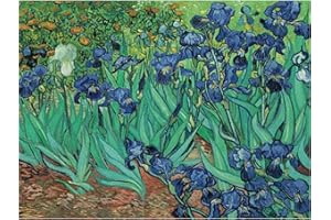 YSCOLOR Diamond Painting Ricamo Diamante Rotondo Pieno Van Gogh Iris Diamante 5D Mosaico Punto Croce Picutre di Strass Decorazioni per La Casa Regalo di Natale 30X40Cm