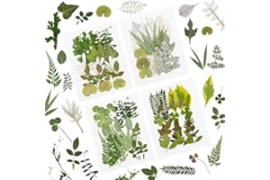 FADCAER 84 Pieces Real Dried Pressed Leaves,Assorted Natural Dried Pressed Leaves,Green Natural Dry Leaves for Pressed Leaf,Dried Leaves for Resin Mold,Pressed Dried Leaves for Embellishment Decoration (B)