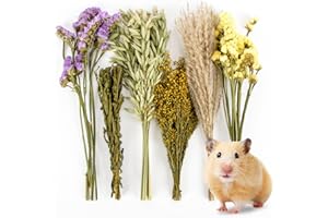 Sukh 42Pcs Herb Bedding Habitat Decor - Natural Flower Hamster Mate Herbs Sprays Cage Safe Pet Accessories Decorations Hideout for Hamsters Mouse Guinea Pig Dwarf Gerbils Syrian Mice