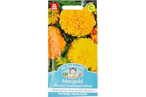 MR FOTHERGILLS Mr Fothergill?s Seeds Ltd 24949 Flower Seeds, Marigold (African) Crackerjack Mixed