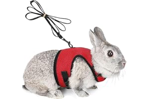HAPPY HACHI Harnais pour Lapins Cochons d'Inde Petits Animaux avec Laisse Élastique Gilet Souple pour Promenade (S, Rouge)