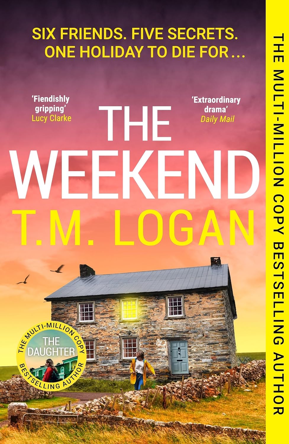 The Family Friend: The dark and addictive new thriller about murder, memory and the secret - Mise en situation et utilisation