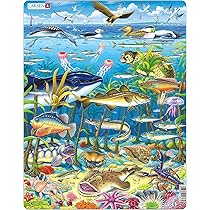 Larsen FH13 Marine Life In The North Atlantic Ocean Jigsaw For - View #5