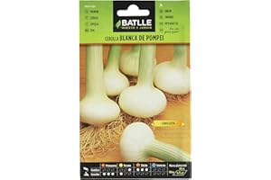 Semillas Batlle - Cebolla temprana POMPEI