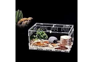 GOVNPJ Caja de Transparente Transporte de Acrílico,Terrario de Caracoles,Caja de alimentación para Reptiles, Reptiles Portátiles de Alimentación de Insectos (30cm x 20cm x 15cm)