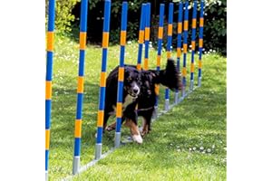 PROCYON Hunde Agility Profi-Slalom Set Doggy