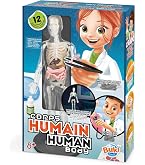 Headu Il Corpo Umano A Raggi X - Gioco Educativo Per Bambini 6-10 Anni Con Puzzle E Torcia Magica - Made In Italy