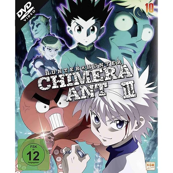 HUNTERxHUNTER - Volume 13: Episode 137-148 [2 DVDs]: Amazon.de