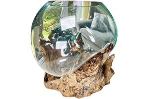 Darthome Molten Glass 25cm Bowl On Teak Root Stand Large Rustic Wood Ornament Sculpture