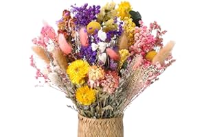 ‎XIALVYU Xialvyu 46 Stück Trockenblumenstrauß Deko Set, 15 Sorten Trockenblumen Blumen, Bunt Getrocknete Blumen, Natürlichen Strohblumen für Wohnzimmer Home Hochzeit Vasen Tischdeko