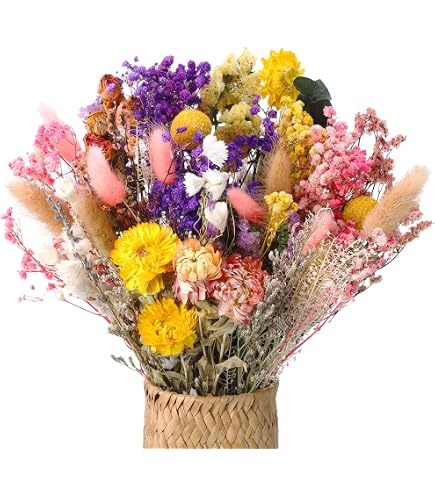 Xialvyu 30 Stück Trockenblumenstrauß Deko Set Trockenblumenstrauß Getrocknete Blumen, Trockenblumen Deko 30cm Strohblumen Getrocknet für Wohnzimmer Home Hochzeit und Tischdeko (Stil 7) Küche, Haushalt & Wohnen