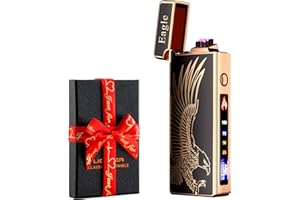 Dachance Cool Gifts Electric Lighter for Men Dad Him Digital Counter Bettary Display Windproof Flameless Plasma USB Rechargeable ARC Birthday Gifts for Men, Boyfriend, Husband (águila)