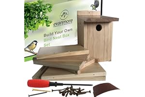 EVANMORE Build Your Own Bird Box Set DIY Kit Birds House Gift Wood For Children Adults Garden Self Assembly Birdhouse Boxes Kits