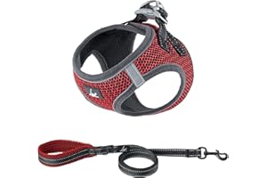 Ligo Confort - Pettorina per cani e gatti con guinzaglio. Tessuto traspirante a nido d’ape. Riflettente (S, ROSSO)