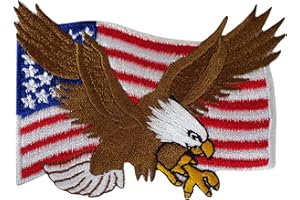ELLU Toppa da cucire con bandiera degli Stati Uniti d'America americani Eagle Biker Badge